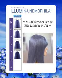 新色ネモフィラのイメージ