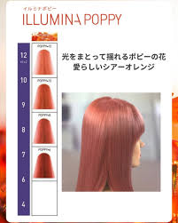 新色ポピーのイメージ